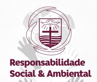 responsabilidade social-2
